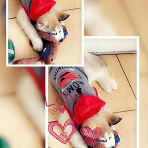 Meet your Posher, Angel